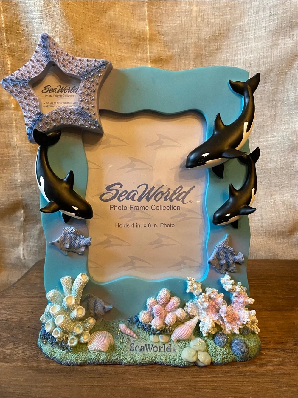 Sea World Park 3D picture frame Orca whales and coral reef